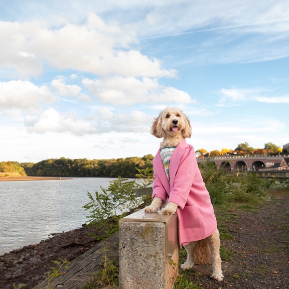 Meet your Posher, Miriam - Picture 1 of 1